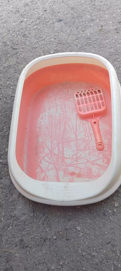 Məhsul: Pişik tualeti qabı və kürəciyi - Material: davamlı plastik -