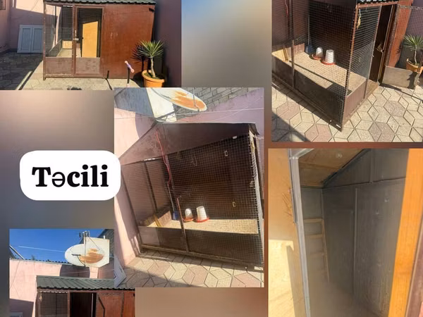 Təcili – hazır quşxana/sıxma toyuq damı - Material: metal karkas