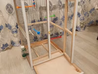 Papuqay,dovşan,hamster,şinşila,bildirçin,cücə,xamyak,pişik,quş,tısbağa — foto 3