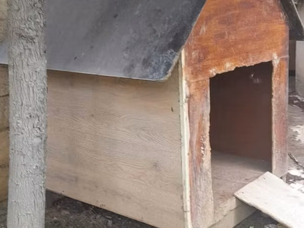 Açıq havada istifadə üçün taxta it evi - Material: qalın taxta