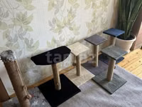 Salam, hər cür model pişiklər üçün dırnaq itiliyənlər düzəldirik — foto 4