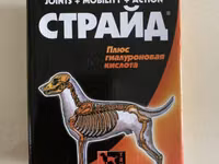 Məhsul: STRIDE PLUS – itlər üçün təbii hərəkətlilik əlavəsi, 200 ml — foto 1