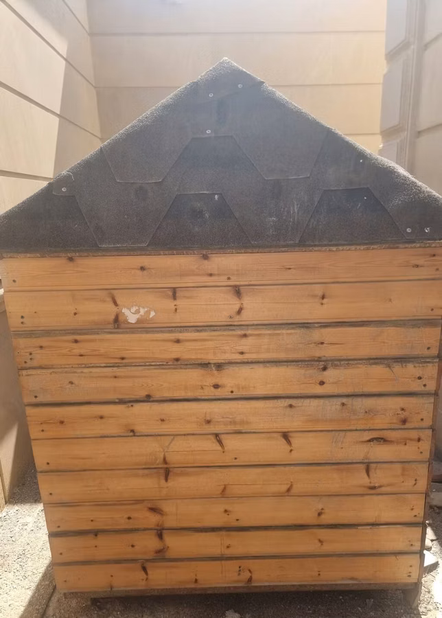 Taxta it evi - Material: təbii taxta panellər, möhkəm karkas - Dam