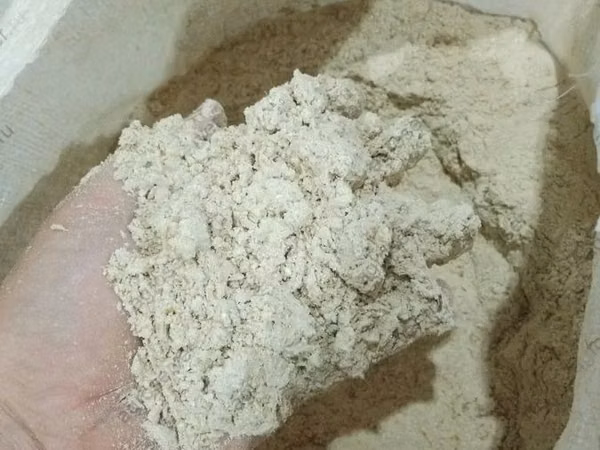 Мучка ячменная