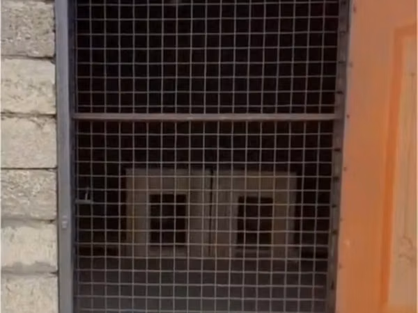 Pişiklər üçün mini-otel / saxlama otağı - Qapalı və təhlükəsiz