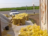 Silos sotiladi — 20 kg 15 000 so‘m, Xatirchi — الصورة 5