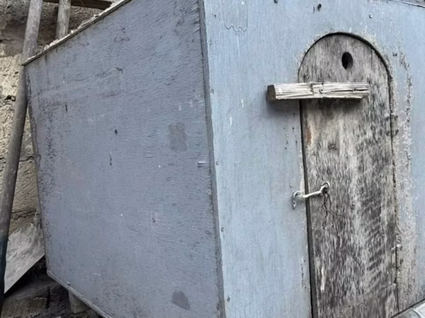 Taxtadan hazırlanmış, qapısı olan it evi. İtinizi küləkdən, yağışdan