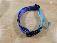 Ошейник վզկապ շան համար — foto 2