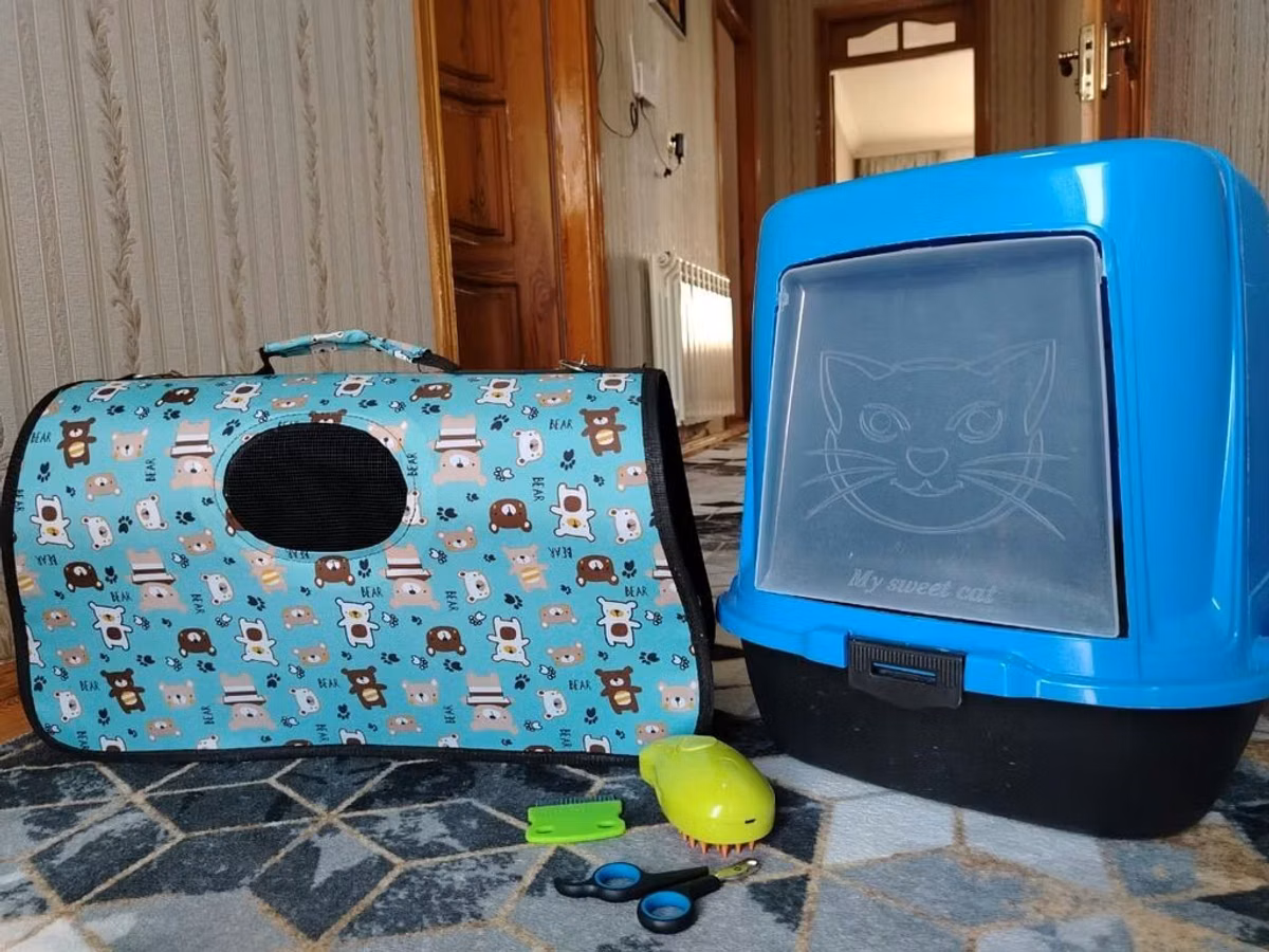 Ev pişiyi üçün aksesuar dəsti KOMPLEKT SATILIR !!! - Qapalı pişik