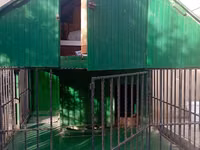 1 ildir alınıb 6 ay istifadə olunub it artıq olmadığı üçün satılır 650 — foto 2