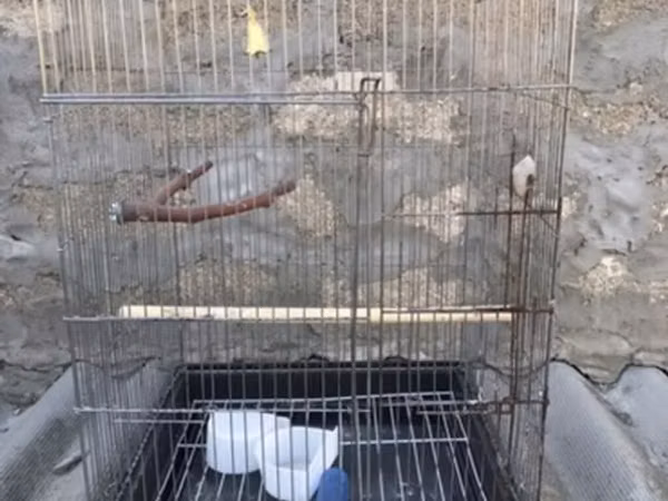 Böyük ölçülü quş qəfəsi - Material: metal barmaqlıqlar, plastik