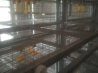 Sənaye tipli quşçuluq qəfəs sistemi - Material: sinklənmiş metal — foto 4