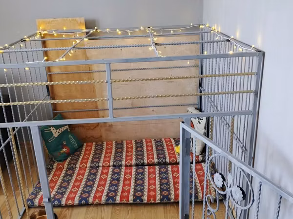 Metaldan geniş ev tipi it qəfəsi / playpen - Material: qalın metal