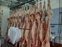 Субпродукты говяжьи и бараньи — foto 4