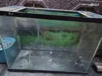 Ակվարիում 105 լիտր — foto 3