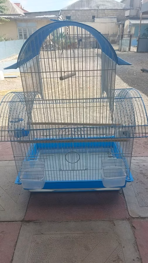 Boyuk Quş Qefesidi Az islenib