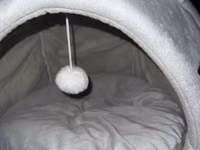 Pişiklər üçün yumşaq qapalı ev–yataq - Dizayn: Boz rəngli, pişik — 照片 2