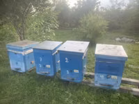 Arıçılıq üçün ağac arı yeşikləri (kovanlar) Məhsul təsviri: - — 照片 2