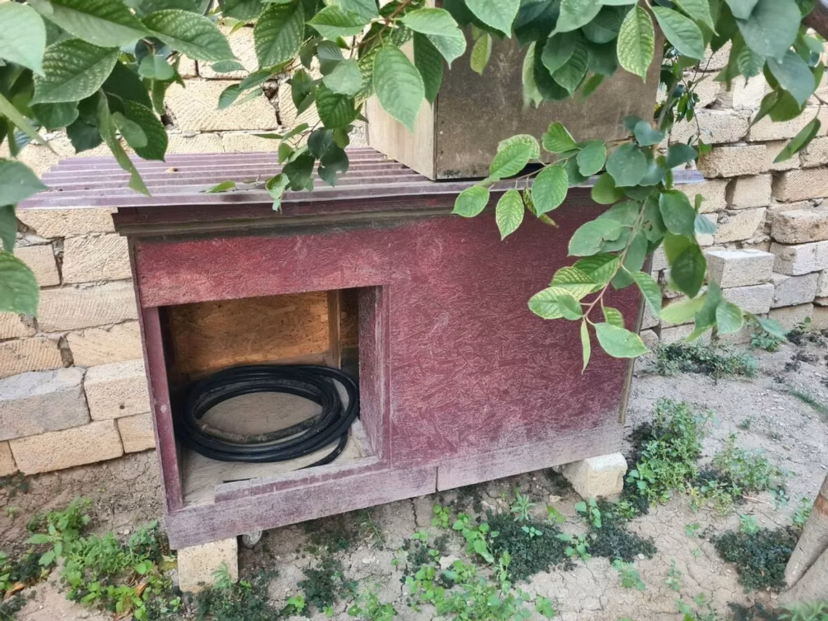 Taxta it evi / dam - Material: OSB tipli taxta panellər, möhkəm