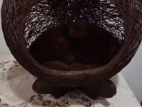 Ev heyvanları üçün dekorativ yuva/evcik - Material: tünd qəhvəyi — zdjęcie 2