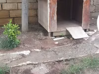 Açıq havada istifadə üçün taxta it evi - Material: qalın taxta — 照片 2