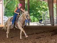 Cavalo, Quarter Horse — foto 6