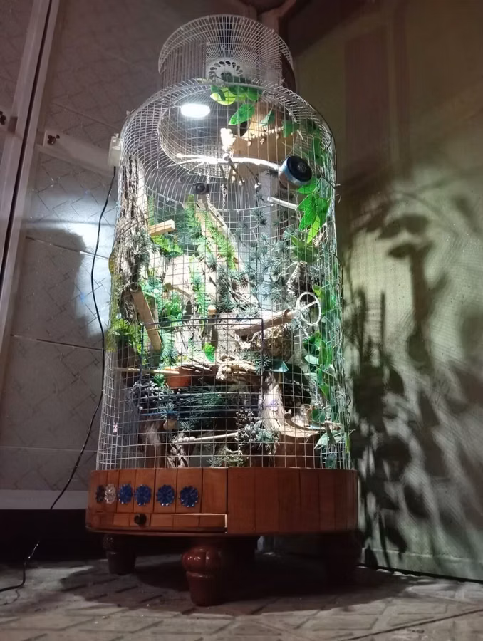 Unikal şaquli terrarium/volyer – dekorativ ağac gövdəsi və təbii