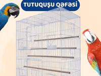 Tutuquşu qəfəsi (valyer) — zdjęcie 1