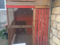 Salam bu quşxan satılır - Konstruksiya: taxta karkas, damı şiferdən — Foto 2