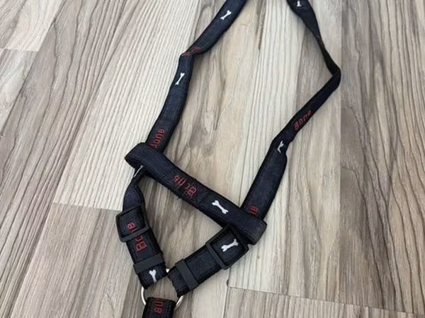 İt üçün sinə qayışı (harness) - Rəng: qara, üzərində “Bone” yazıları