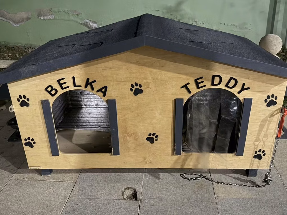 İkili it evi – geniş və funksional - İki girişli model: sol tərəf