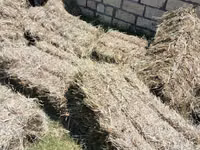 Quru ot – balyalar - Təbii biçin otundan hazırlanmış pres balyalar - — foto 2