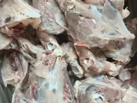 Каркас, киль цб — புகைப்படம் 5