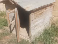 Taxta it evi / dam - Material: qalın taxta karkas, taxta obşivka - — புகைப்படம் 2