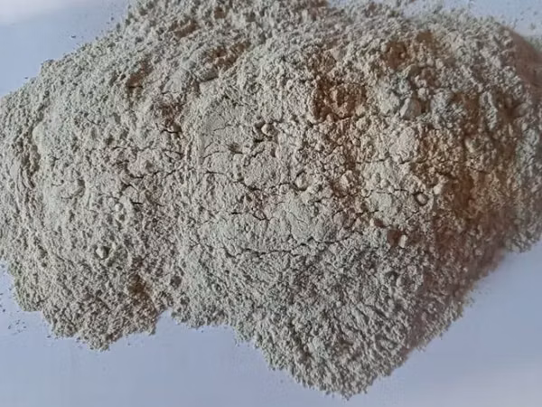 Դետե, Կապույտ շիբ
