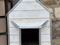 Endirim olajax Ağ rəngli taxta it evi - Material: möhkəm taxta — zdjęcie 2