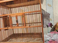 Taxta quş qəfəsi – ev formasında dizayn - Material: təbii ağac və — Foto 3