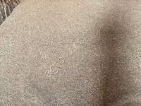 Шрот рапсовый — foto 3