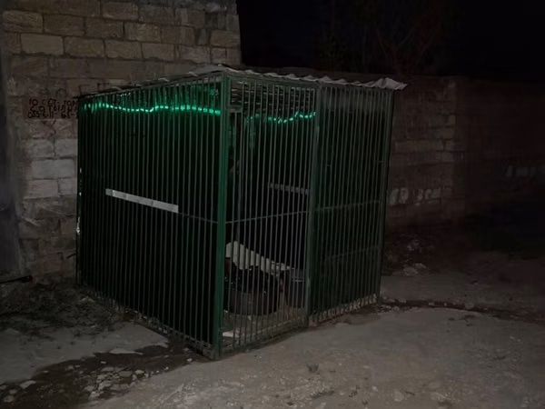 Metalkarkas heyvan qəfəsi / açıq hava volyeri - Material: tam metal