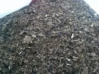 Шрот подсолнечный — foto 2