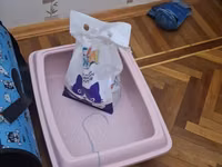 Pişik üçün tam aksesuar dəsti Dəst tərkibi: - Yumşaq, ev formasında — foto 1