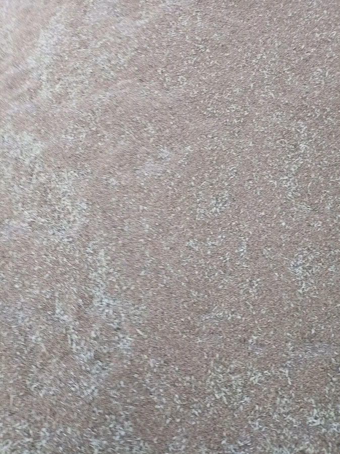 6-7 ton buğda. Qiymət 40 qəpik