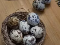 Լորի ինկուբացիոն ձու — 照片 1