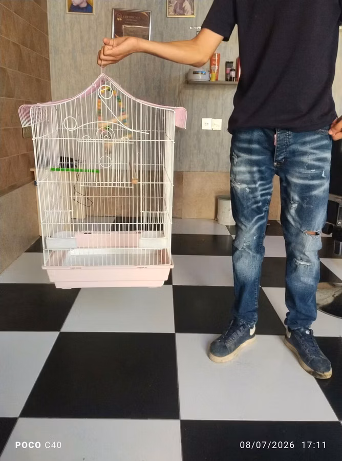 Qəfəs 60 azn watsap yiğin