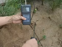 Umidometru digital pentru sol - vlagomer.md — foto 4