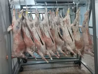 Субпродукты говяжьи — 写真 4