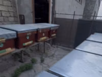 Arıçılıq üçün taxta arı yeşikləri (pətəklər). İçində 6 ay arı — 照片 3