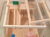 Hamster/kiçik gəmirici üçün geniş taxta — 写真 5