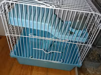 Hamster üçün akvarium və qəfəs dəsti Məhsul tərkibi: - Şüşə akvarium — 照片 2