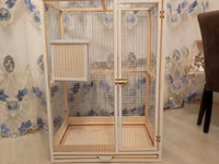 Papuqay,dovşan,hamster,şinşila,bildirçin,cücə,xamyak,pişik,quş,tısbağa — الصورة 1